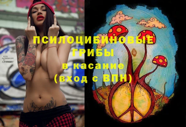 spice Алексеевка