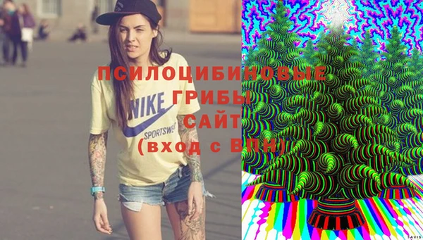 spice Алексеевка