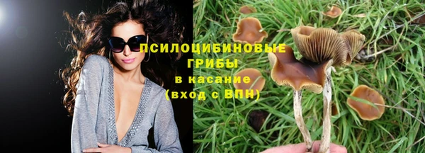 гидропоника Алексин