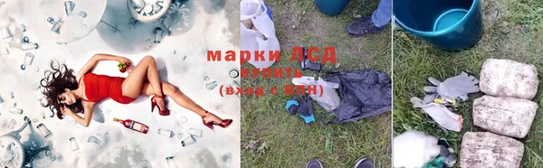 гидропоника Алексин