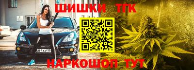 стаф Гатчина