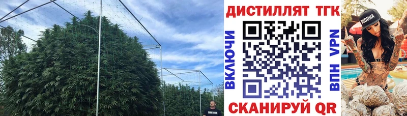 Дистиллят ТГК THC oil  нарко площадка наркотические препараты  блэк спрут ссылки  Дедовск  наркошоп 