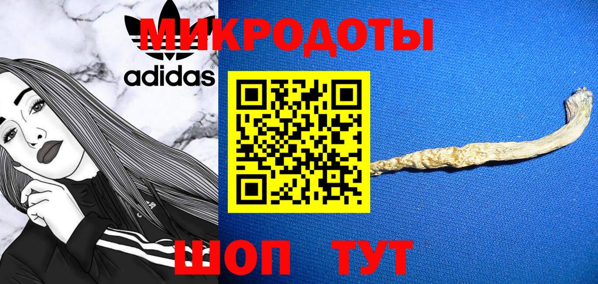 закладки  Дедовск  Галлюциногенные грибы прущие грибы 