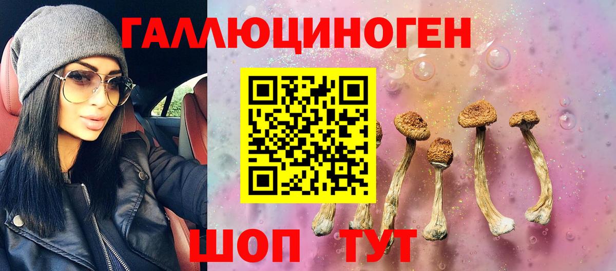 Галлюциногенные грибы MAGIC MUSHROOMS  Дедовск 