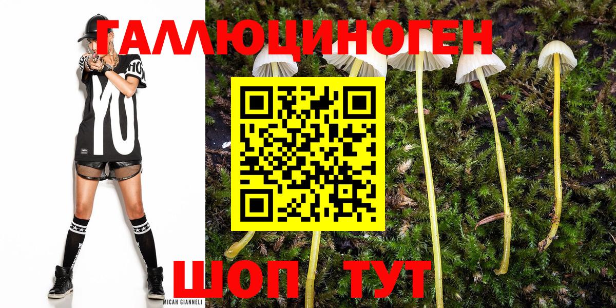 Галлюциногенные грибы мицелий Дедовск