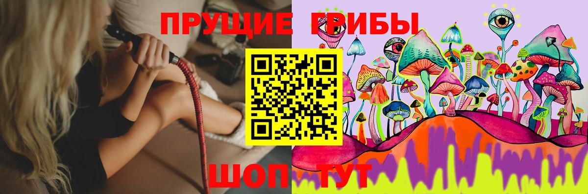 Галлюциногенные грибы Psilocybe Дедовск