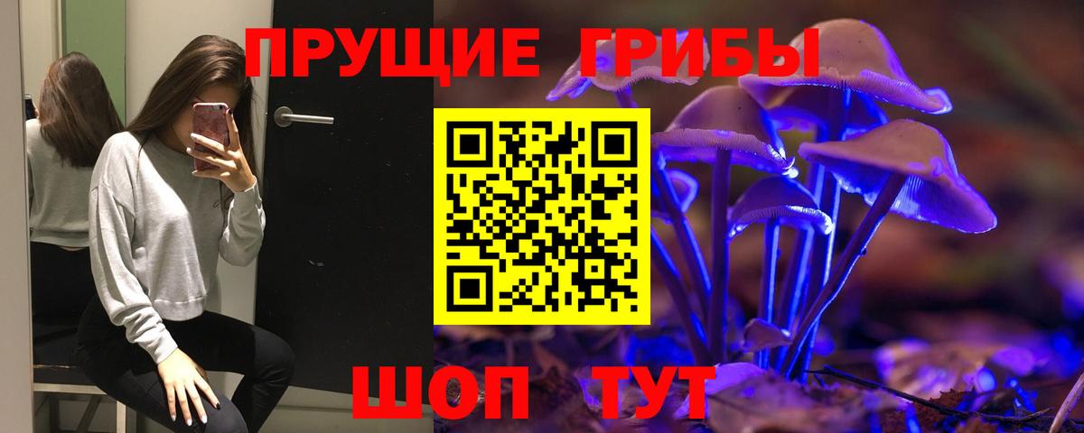 Галлюциногенные грибы Psilocybe  Вход с VPN  Дедовск 